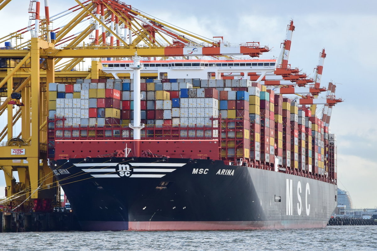 MSC ARINA , Containerschiff , IMO 9839284 , Baujahr 2019 , 23656 TEU , 399.81 × 61.04m , 28.10.2019 , Bremerhaven
