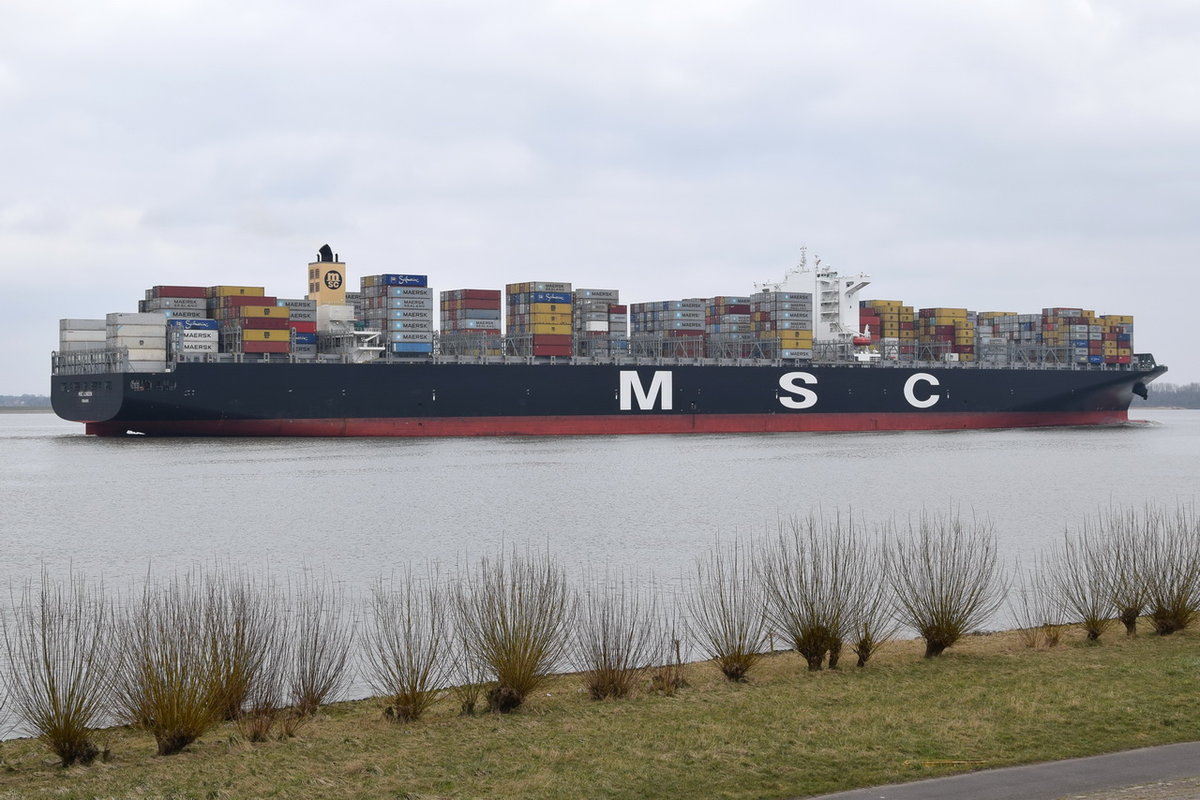 MSC LONDON , Containerschiff , IMO 9606302 , Baujahr 2014 , 399 x 54m , 12930 TEU  , 17.03.2016 Grünendeich