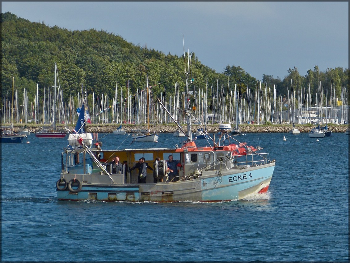 Museumsboot ECKE 4 im Hafengeiet von Eckernfrde unterwegs am 19.09.2013, seit lngerem wird das frhere Fischerboot fr Hafenrundfahrten mit kleineren Gruppen eingesetzt. Bj 1983, L 11 m, B 4 m.