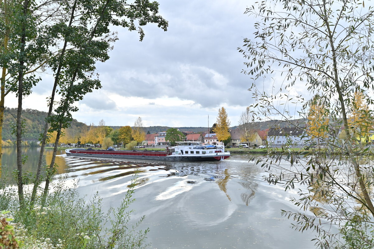 Nachschuß. Am frühen Samstagnachmittag kommt bei Haßmersheim der Massengutfrachter Sunstar Neckar aufwärts gefahren.  Vor wenigen Minuten ist er ins Oberwasser der Schleuse Neckarzimmern  und hat nun Kurs auf die Staustufe Gundelsheim. 23.10.2021