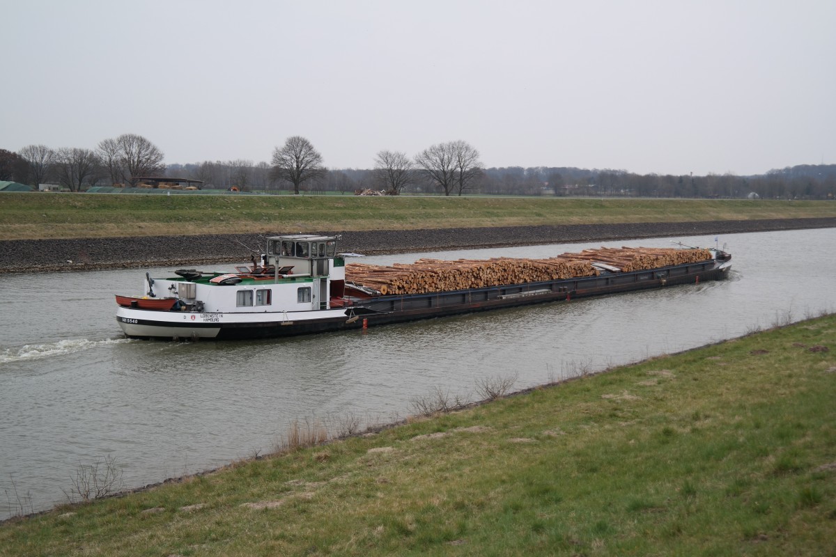 Nachschuss auf GMS LOBENSTEIN, Hamburg, ENI 04015540, mit Holz beladen auf dem Elbe-Seiten-Kanal von der Elbe bei Artlenburg kommend in Richtung Schiffshebewerk Lüneburg; 28.03.2015
