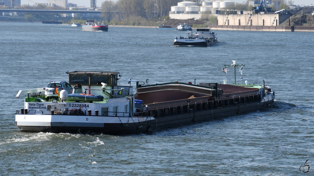 Nachschuss auf das Gütermotorschiff VELA DARE (ENI: 02328984). (Duisburg, April 2021)