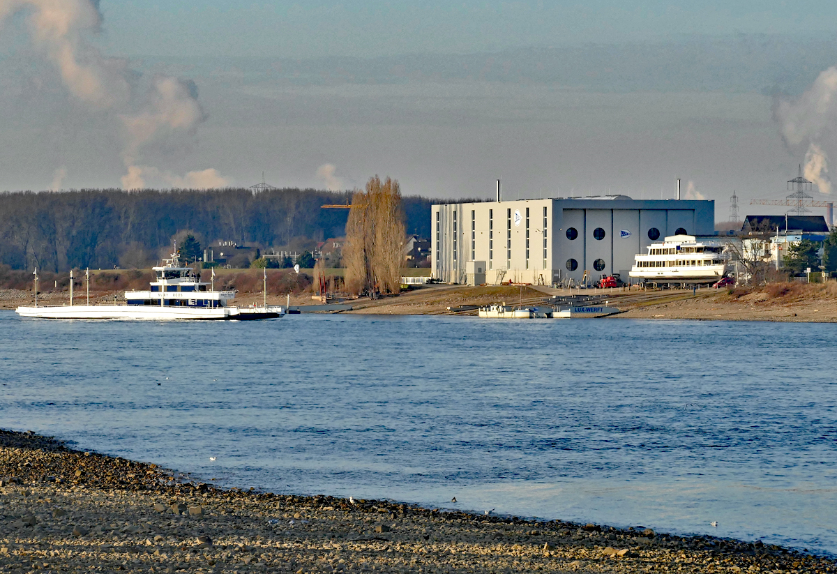 Neubau AF  Mary Roos , querab der Lux-Werft in Mondorf/Rhein - 18.01.2017