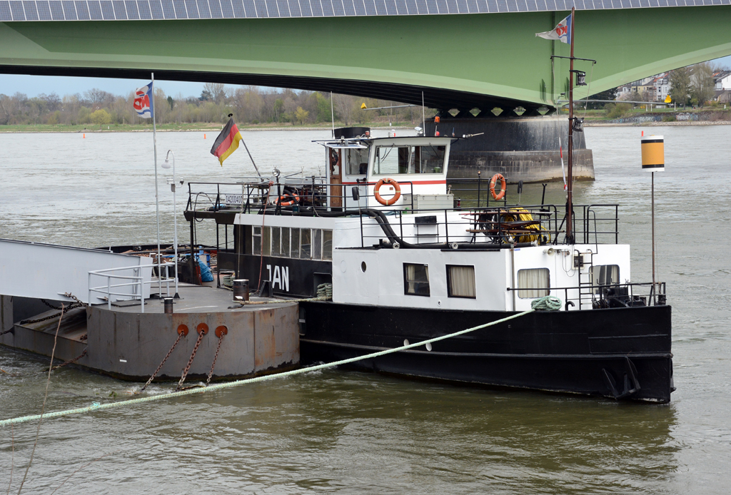 Oldie-Schlepper  Jan  der KD, Baujahr 1928, am Rheinufer in Bonn - 11.04.2015