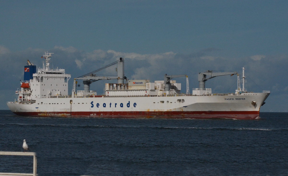 Pacific Reefer, Kühlschiff von Seatrade. IMO:9179268, Länge:144,97 m, Breite: 22,60m, 112 TEU. 21 kn.Richtung Hamburg vor Cuxhaven. Unter der Flagge von Liberia. Baujahr: 1999.