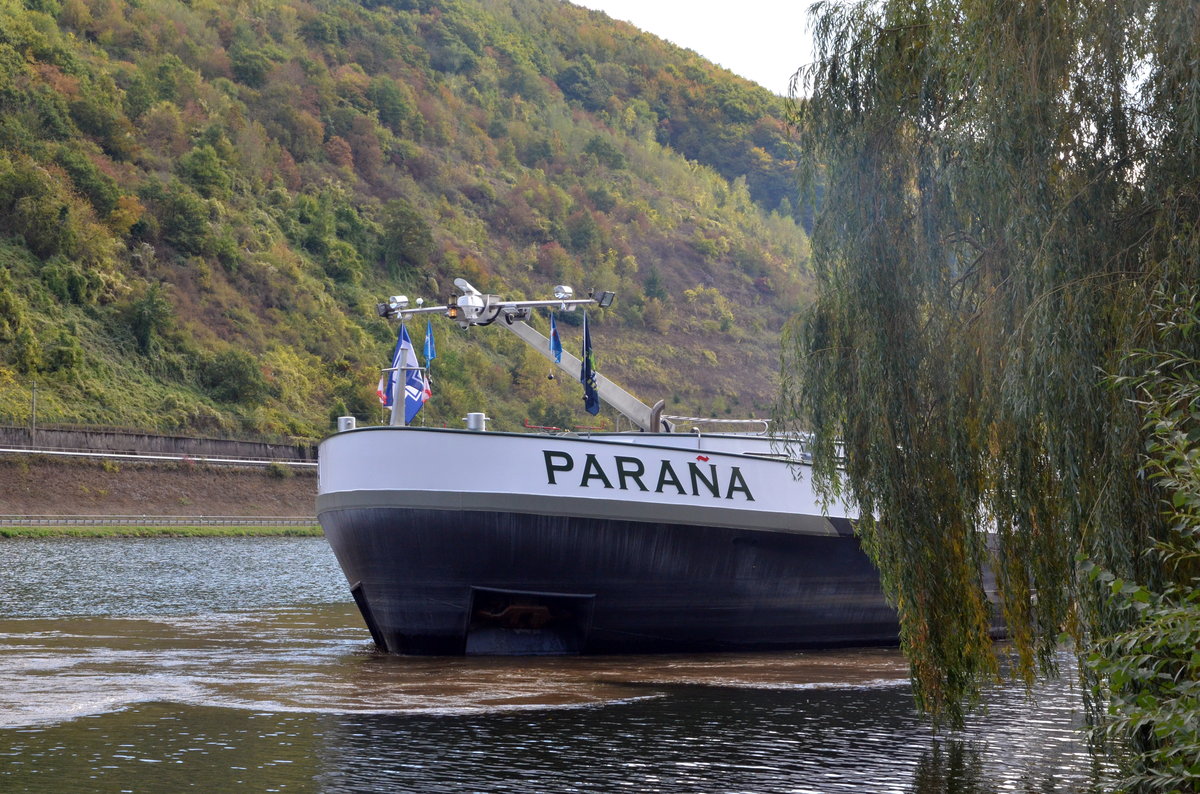 PARANA ein Frachtschiff stoppt gerade vor einer Schleuse bei Sankt Aldegund, versteckt sich noch hinter einem Busch am 13.10.16.