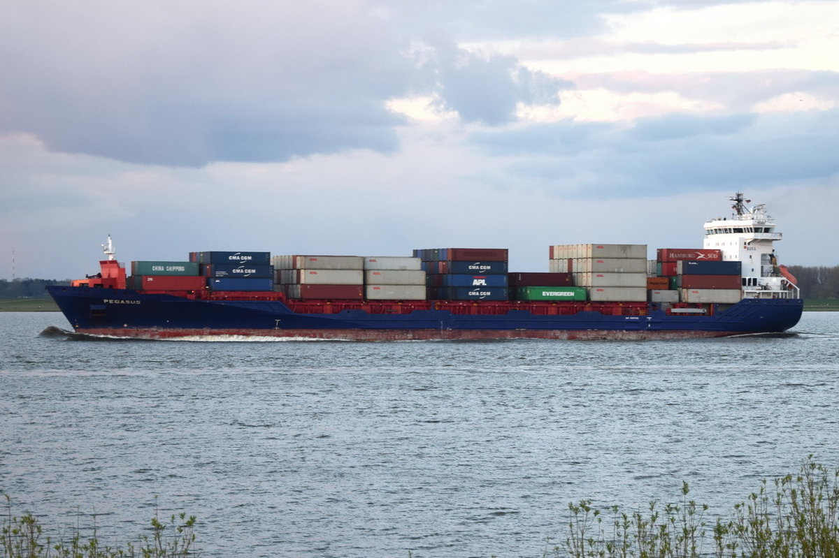 PEGASUS , Feederschiff , IMO 9387592 , Baujahr 2009 , 880 TEU , 158 x 23m , 18.04.2017 Grünendeich
    