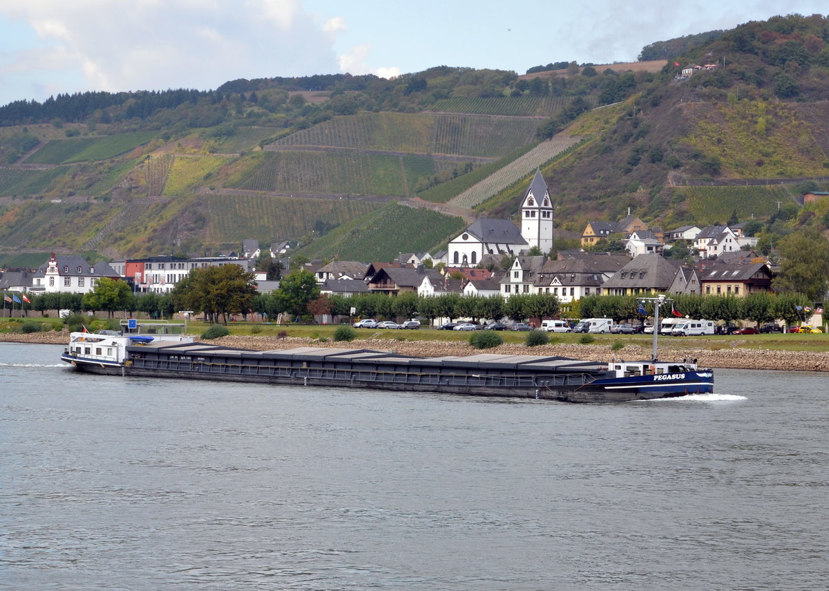 Pegasus Frachtschiff auf dem Rhein mit dem Hintergrund von Leutesdorf zu bergfahrend am 03.10.16.