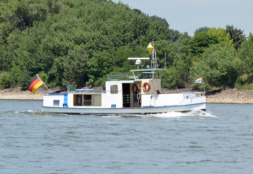 Personenfähre  Marienfels  auf dem Rhein bei Wesseling - 23.06.2014