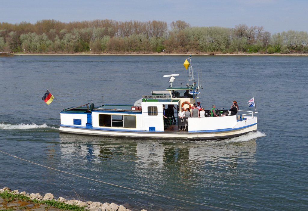 Personenfähre  Marienfels  (zwischen Lülsdorf und Wesseling) auf dem Rhein in Wesseling - 31.03.2017