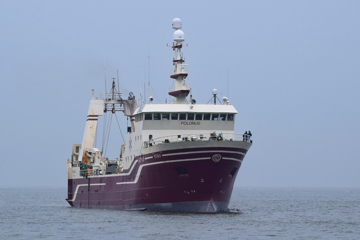 POLONUS GDY 36 , Trawler , IMO 9048902 , Baujahr 1992 , 65.5 × 12.63m , 20.12.2018 , Cuxhaven