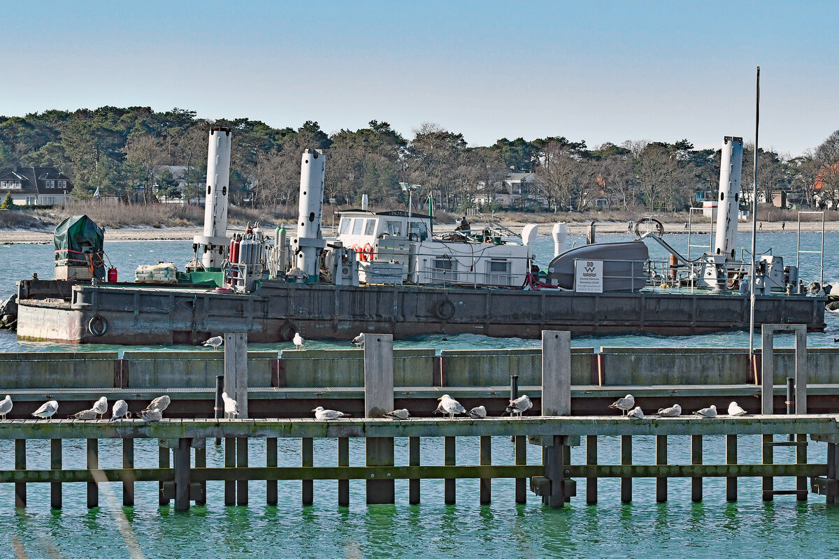 Ponton KRAKE der DDW (Deutsch-Dänische Wasserbau GmbH) im Hafen von Niendorf / Ostsee ( 11.03.2023)