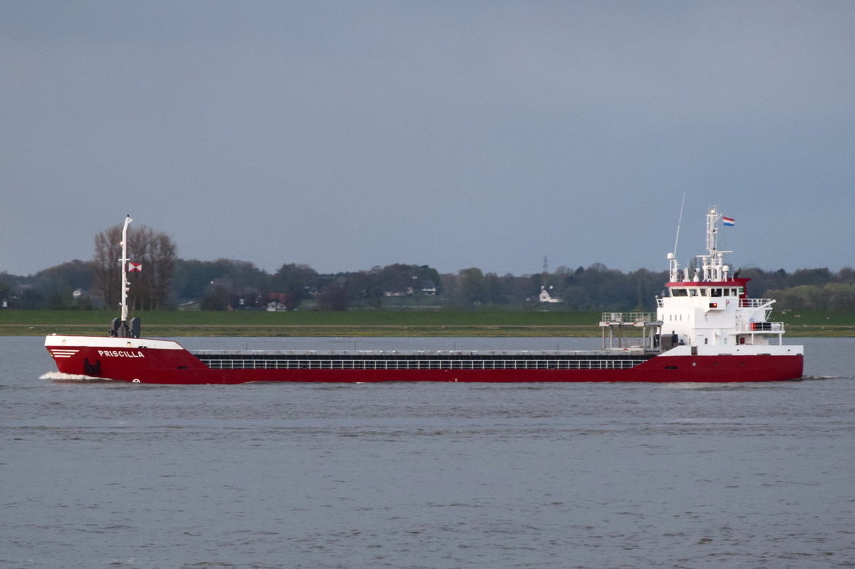 PRISCILLA , General Cargo , IMO 9411745 , Baujahr 2009 , 104 TEU , 89 x 12 m , 18.04.2017 Grünendeich
    