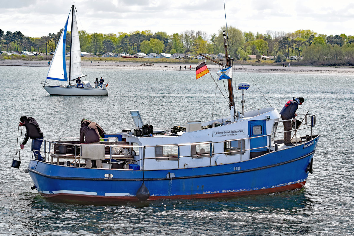 Prof. Oeftering am 5.5.2019 bei Travemünde. Das Fahrzeug gehört dem Eisenbahner-Hochsee-Sportfischer Verein Lübeck-Travemünde. Baujahr 1970, erbaut bei der Schiffswerft Hans Dodegge Nachf. Neuhaus/Oste, 
eingetragen im Schiffsregister der Hansestadt Lübeck als Sport-Fischereifahrzeug am 26.10.1970, unter der Nummer SSR 1613.

Schiffsdaten:  Länge 9,10 m; Breite 3,4 5m; Tiefe 1,49 m   Bruttoraumgehalt 12,28 t