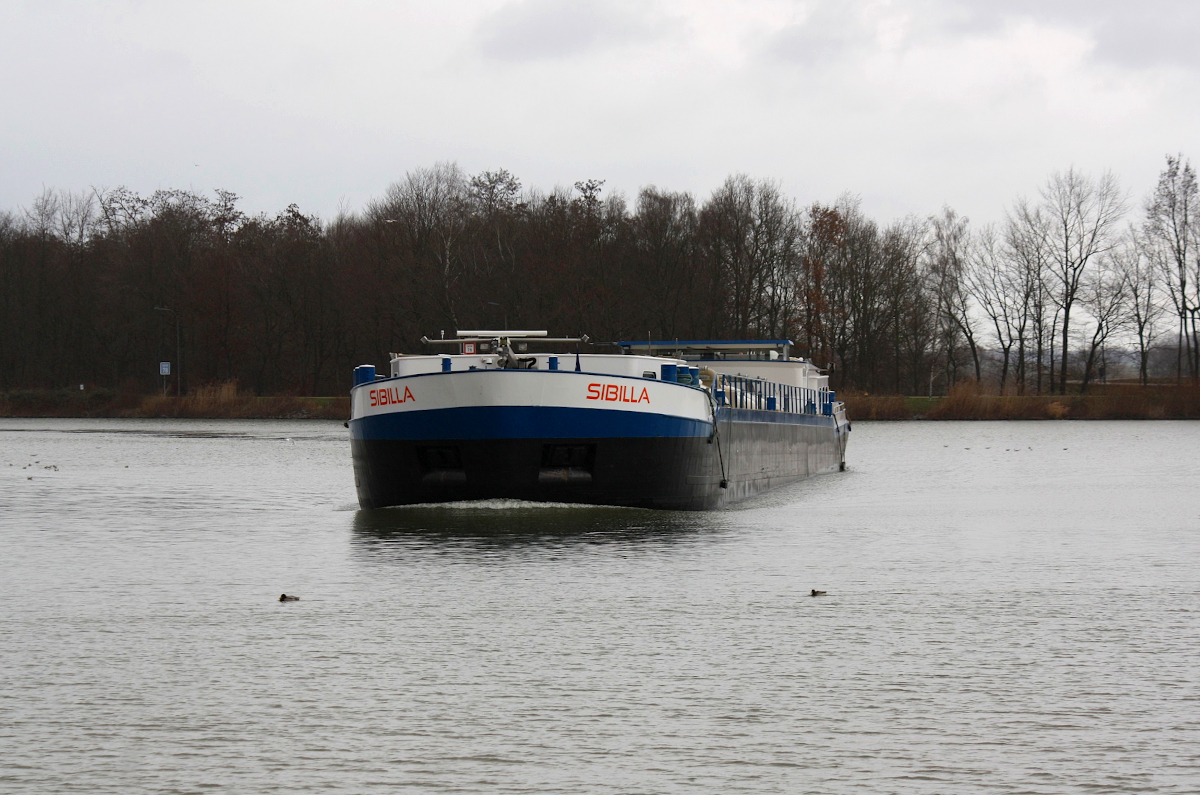 Pulvertanker SIBILLA (ENI:02329747) L.80 m B.9,50 m T 1098 Flagge Niederlande am 09.01.2022 auf dem DEK am Dattelner Meer.