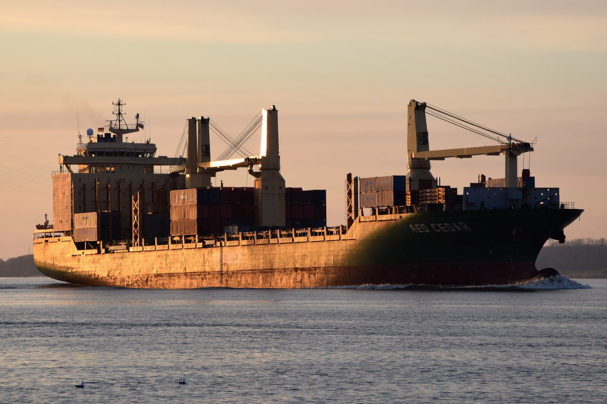 RED CEDAR , Stückgutschiff , IMO 9231092 , Baujahr 2001 , 1842 TEU , 193 x 28m , 30.04.2016 Grünendeich