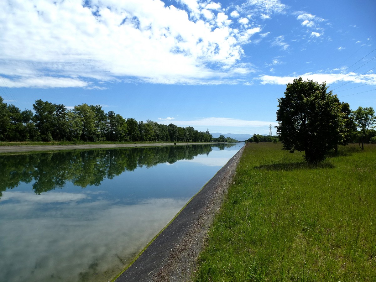 Rhein-Rhone-Kanal, der fr grere Schiffe ausgebaute Teil zwischen Niffer und Mlhausen (Mulhouse) im sdlichen Elsa, Mai 2014