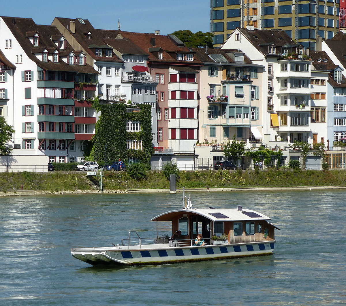 Rheinfhre  Vogel Gryff  in Basel, Juli 2016