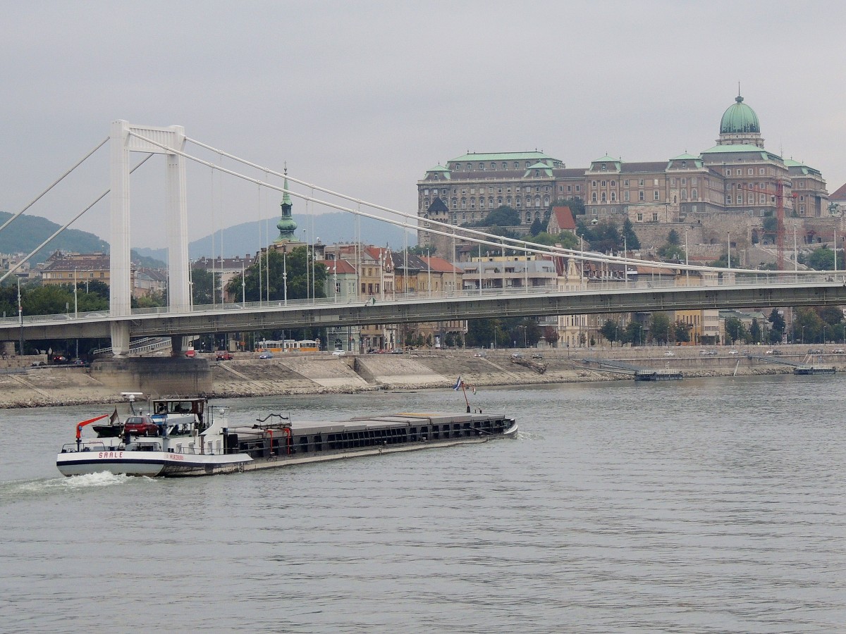 SAALE(04003460;L=99,9; B=9mtr; 1664to; 760PS; Bj.1969)kurz vor der Elisabethbrcke in Budapest; 130827