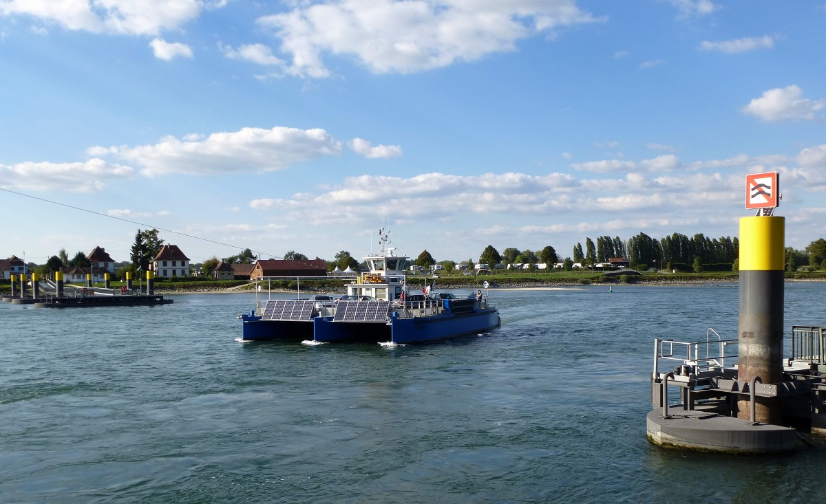  Saletio , Gierseilfhre ber den Rhein bei Plittersdorf, 2010 in Dienst gestellte Autofhre mit drei Schwimmkrpern, Sept.2015