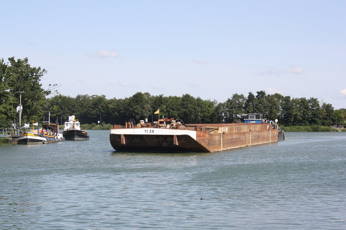 SB ARGO (ENI:05608850) L.23,65 B.8,20 Flagge Deutschland & Schubleichte 1136 auf dem DEK 
am 24.08.2021 zu Berg in Datteln