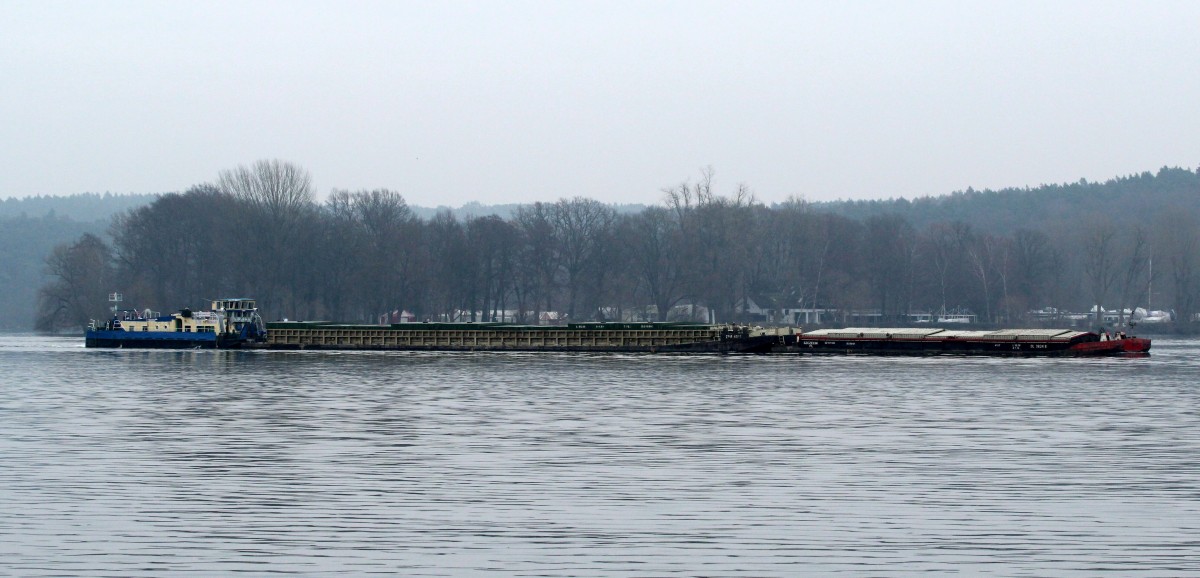 SB Bizon-0-82 (08356026 , 21,12 x 8,24m) schob an diesem trüben 19.01.2015 seinen Verband auf der Havel in Höhe der Insel Lindwerder zu Tal.