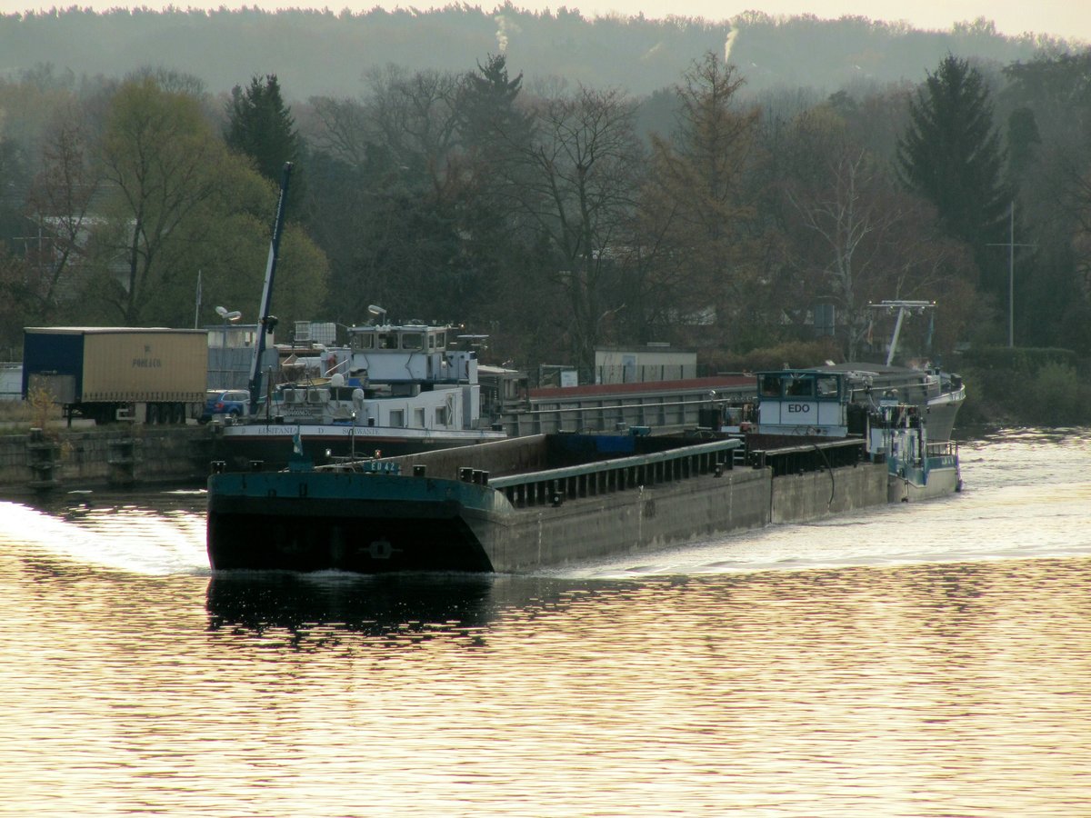 SB Edo (05608640 , 21,65 x 8,19m) kam am 27.11.2018 mit zwei leeren Leichtern die Havel in Berlin-Spandau zu Berg.