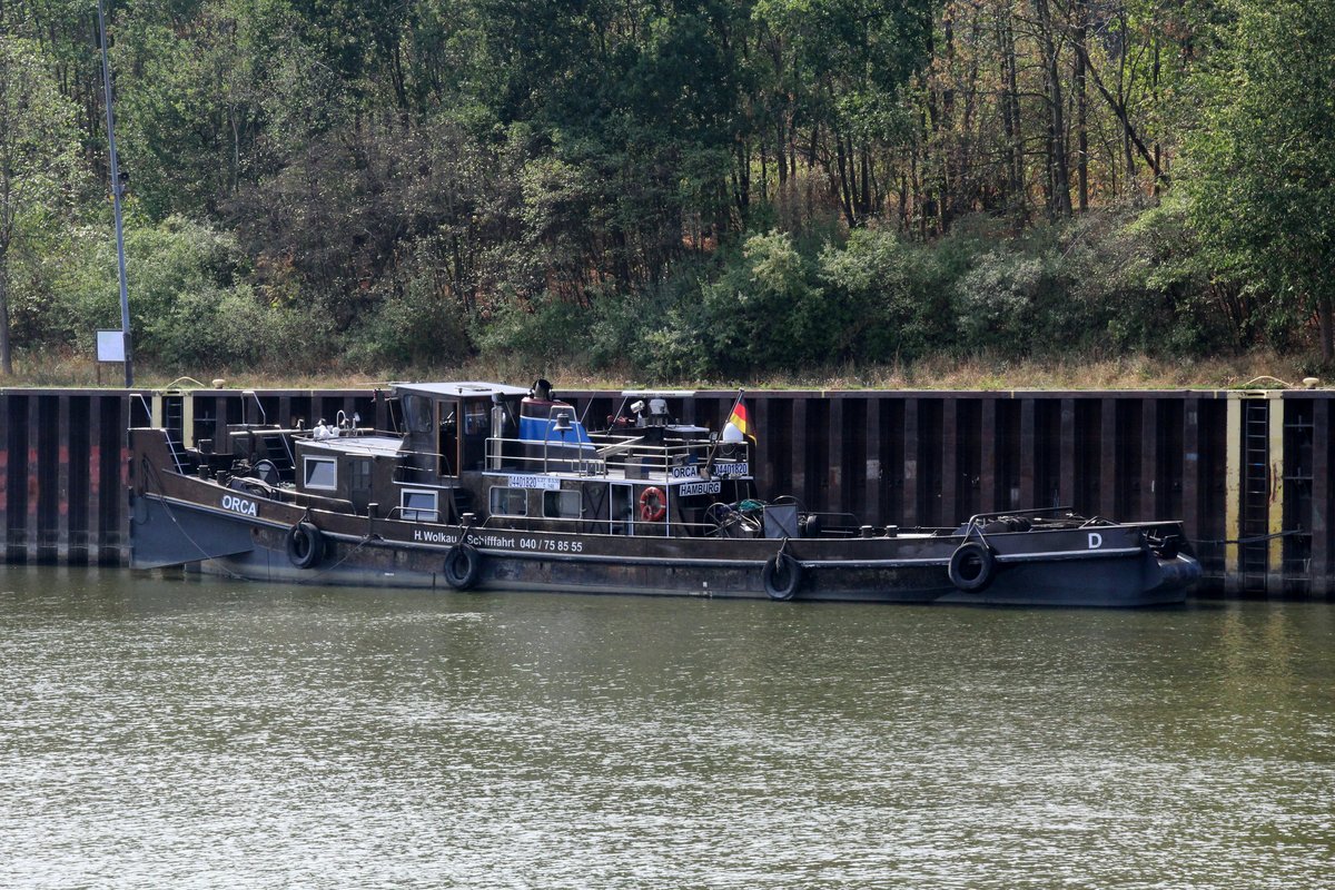 SB Orca (04401820 , 26,98 x 5,55m) lag am 23.08.2018 im Unterwasser des Schiffshebewerkes Scharnebeck / ESK. 