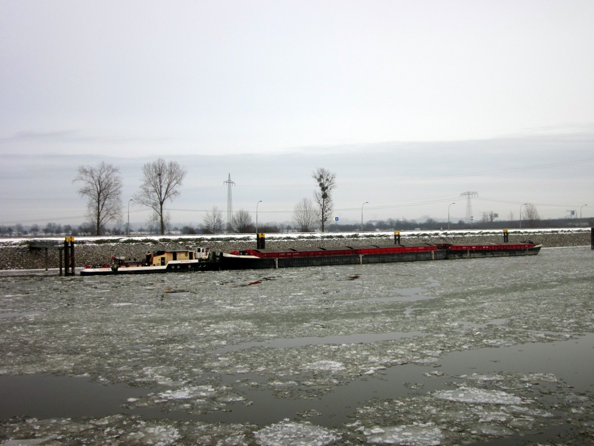 SB (Schubboot) Navigor-3 (08351136 , 24,99 x 7,03) mit zwei Schubleichtern festgemacht im RVK am 02.02.2014