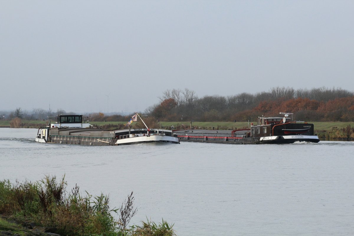 Schiffsbegegnung auf dem Mittellandkanal am km 319 am Barleber See I am 24.11.2016. GMS Hildegard (04018050) fährt Richtung Wolfsburg und GMS Regina Sperling (04010050) fährt Richtung Osten / Schleuse Hohenwarthe. 