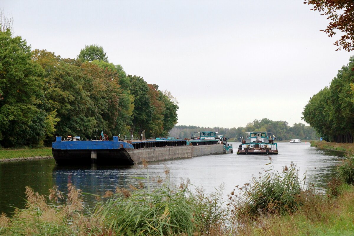 Schiffsbegegnung im Sacrow-Paretzer-Kanal /  UNTERE HAVEL-WASSERSTRASSE  am 04.10.2021 Höhe Schlänitzsee. Der zu Berg fahrende Schubverband mit den Leichtern  UG22 (05605100 , 65 x 9,50m) u. ED42 (04802740 , 61,04 x 8,20m) und dem Schubboot  EDO  (05608640 , 23,21 x 8,19m) sowie das Schubboot  EDWALD  stoppten. Begegnung von Kollegen der gleichen Reederei - der ED-LINE.