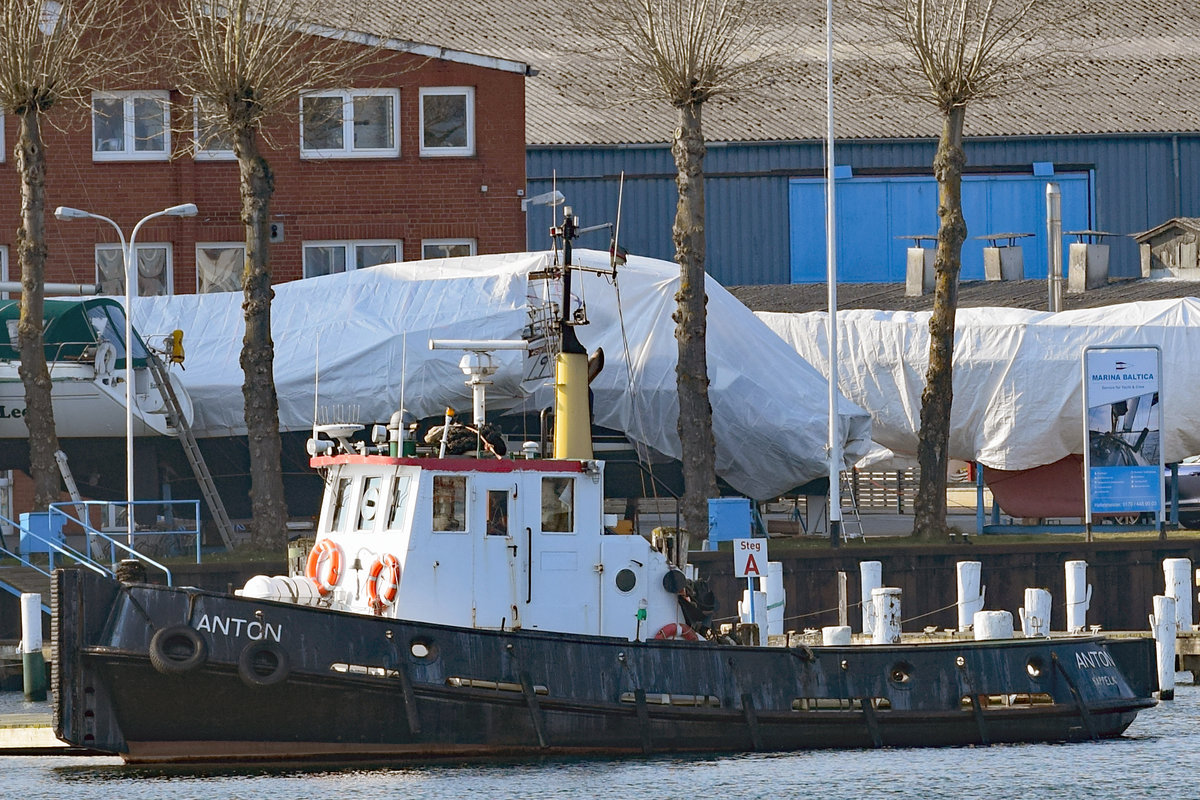 Schlepper ANTON (MMSI: 211224660) am 07.03.2020 im Hafen von Lübeck-Travemünde