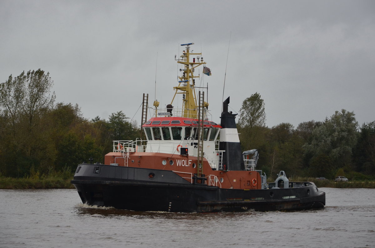 Schlepper Wolf am 04.10,17 bei Burg am NOK.