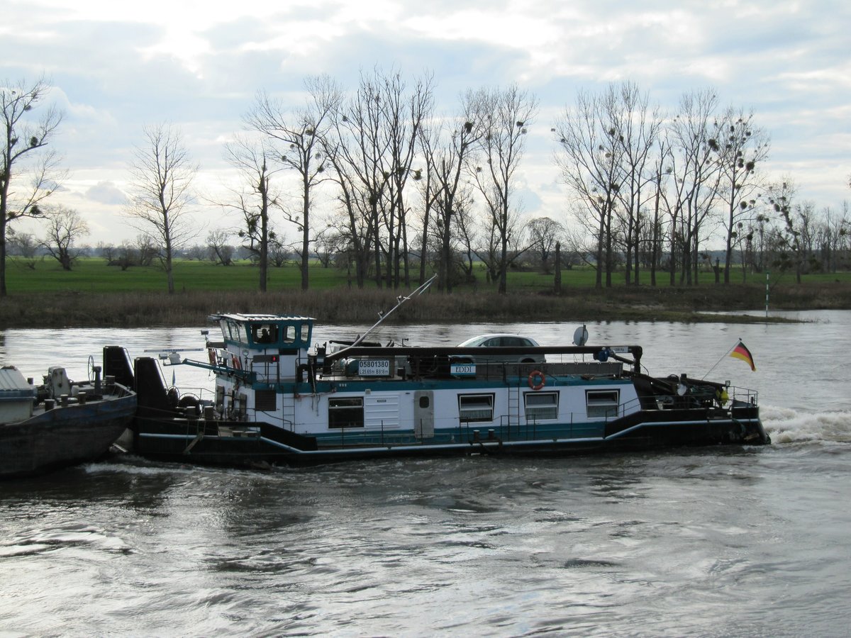 Schubboot Eddi (05801380 , 25,65 x 8,18m) am 09.03.2020 bei Elster auf Elbe-Bergfahrt.