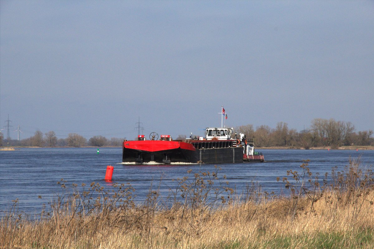 Schubboot SCH 2305 (05602850 , 14,06 x 8,16m) schob am 18.03.2020 den Leichter 7021 A (32,50 x 8,20m) auf der Elbe am km 343 zu Berg.