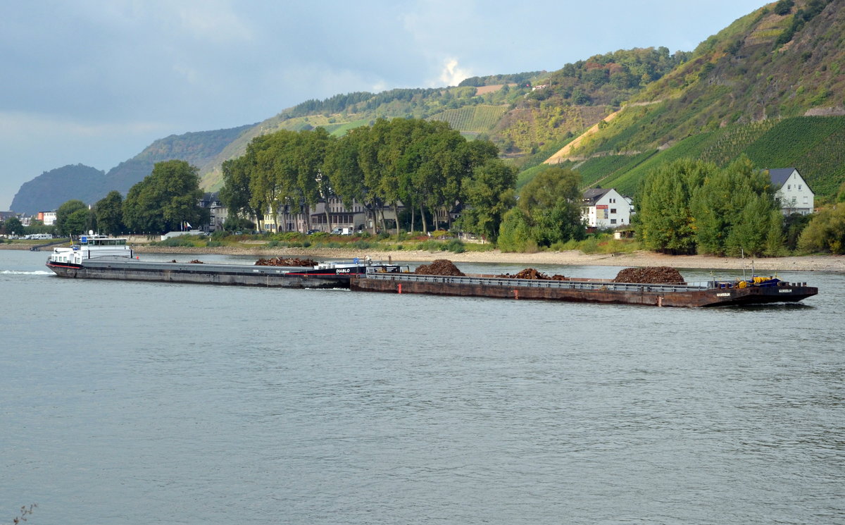 Schubschiffverband  Diablo mit Leichter Mansum auf dem Rhein bei Andernach zu bergfahrend am 03.10.16. Diabolo Lnge:110m, Breite: 11,45m, Heimathafen: Brgge.