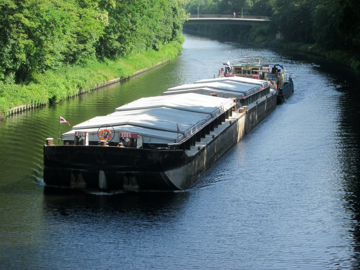 Schubverband mit SB Bizon-0-118 (08355099) und zwei je 32,50m langen Leichtern am 29.05.2016 im Teltowkanal in Berlin-Lichterfelde auf Talfahrt.