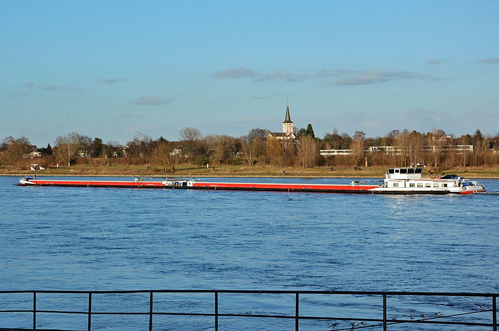 Schubverband  Sperenza  auf dem Rhein bei Bonn - 02.02.2014