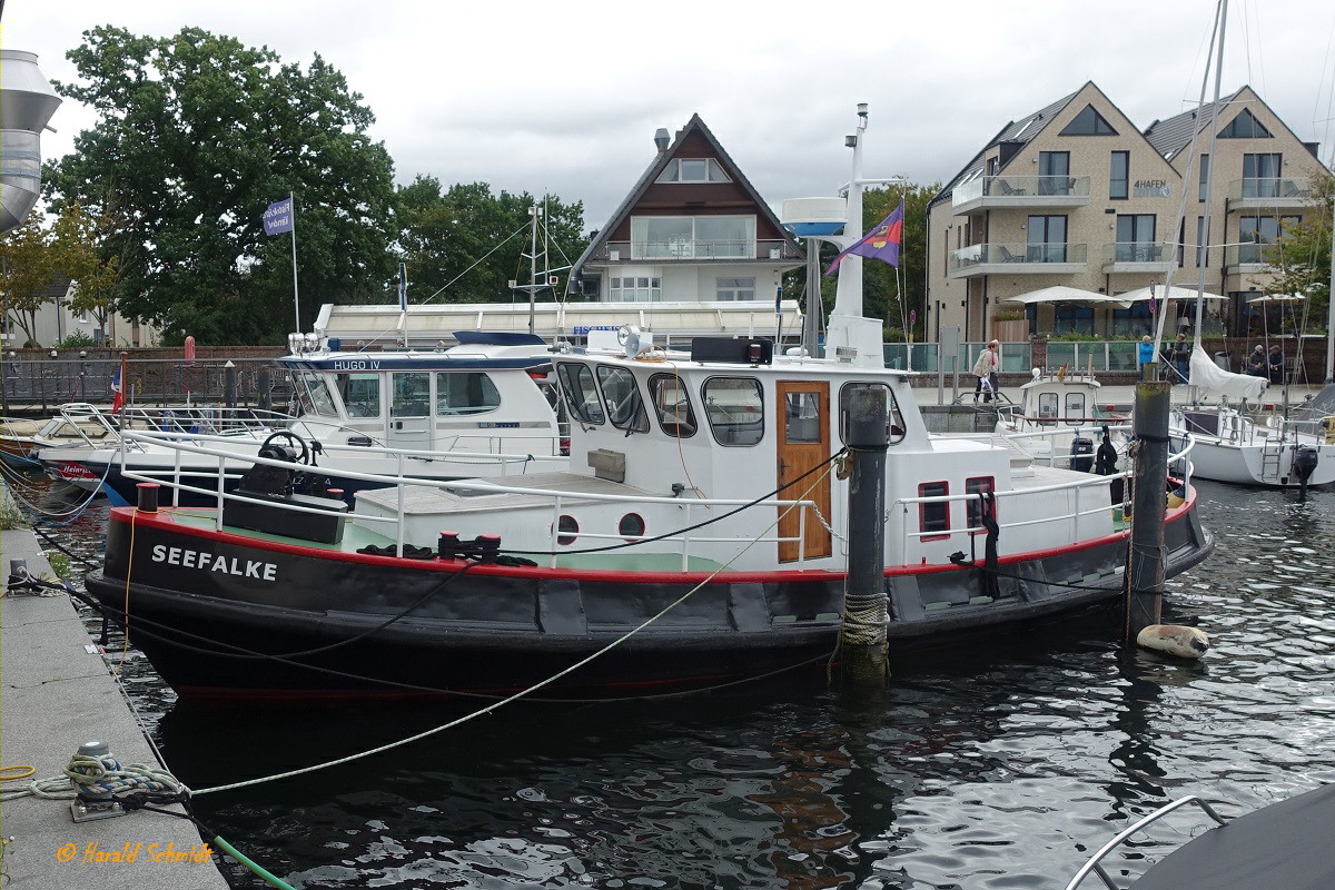 SEEFALKE gesehen am 15.9.2021 im Hafen von Niendorf/Ostsee, vermutlich ein ehemaliges Behördenboot  /