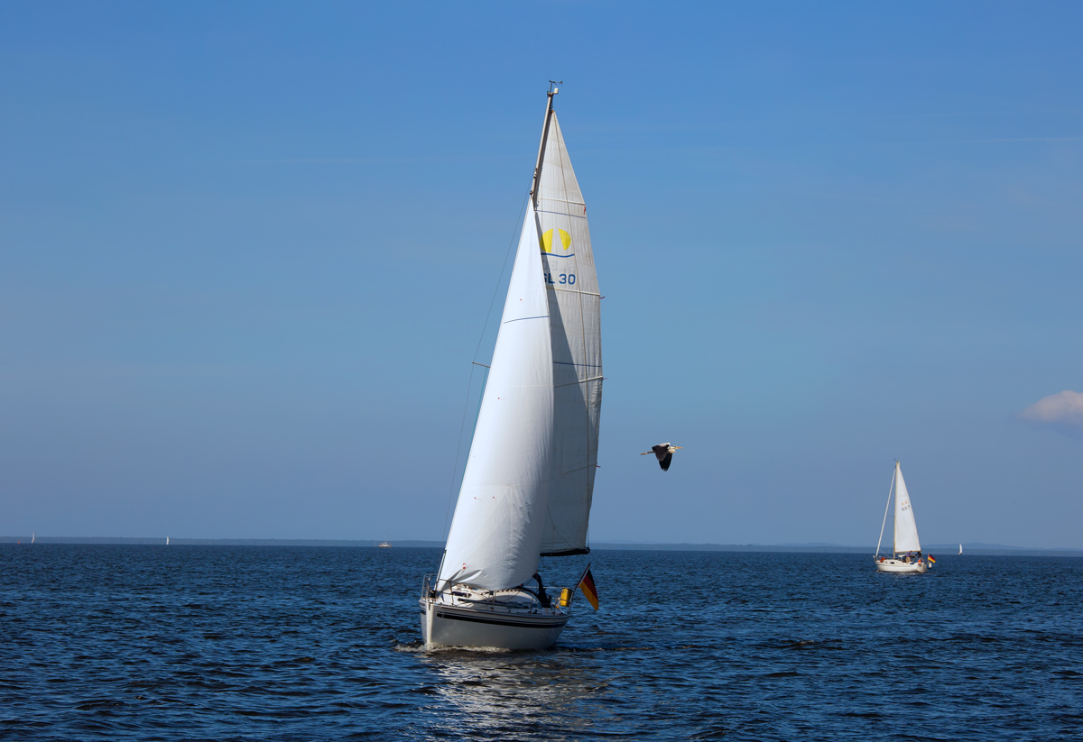 Segelboot  auf dem Stettiner Haff mit Graureiher. - 24.05.2015