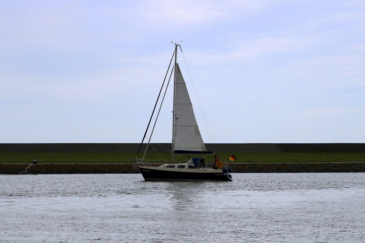 Segelboot  BORA 838  erreicht den Norddeicher Hafen. [27.7.2017 - 15:50 Uhr]