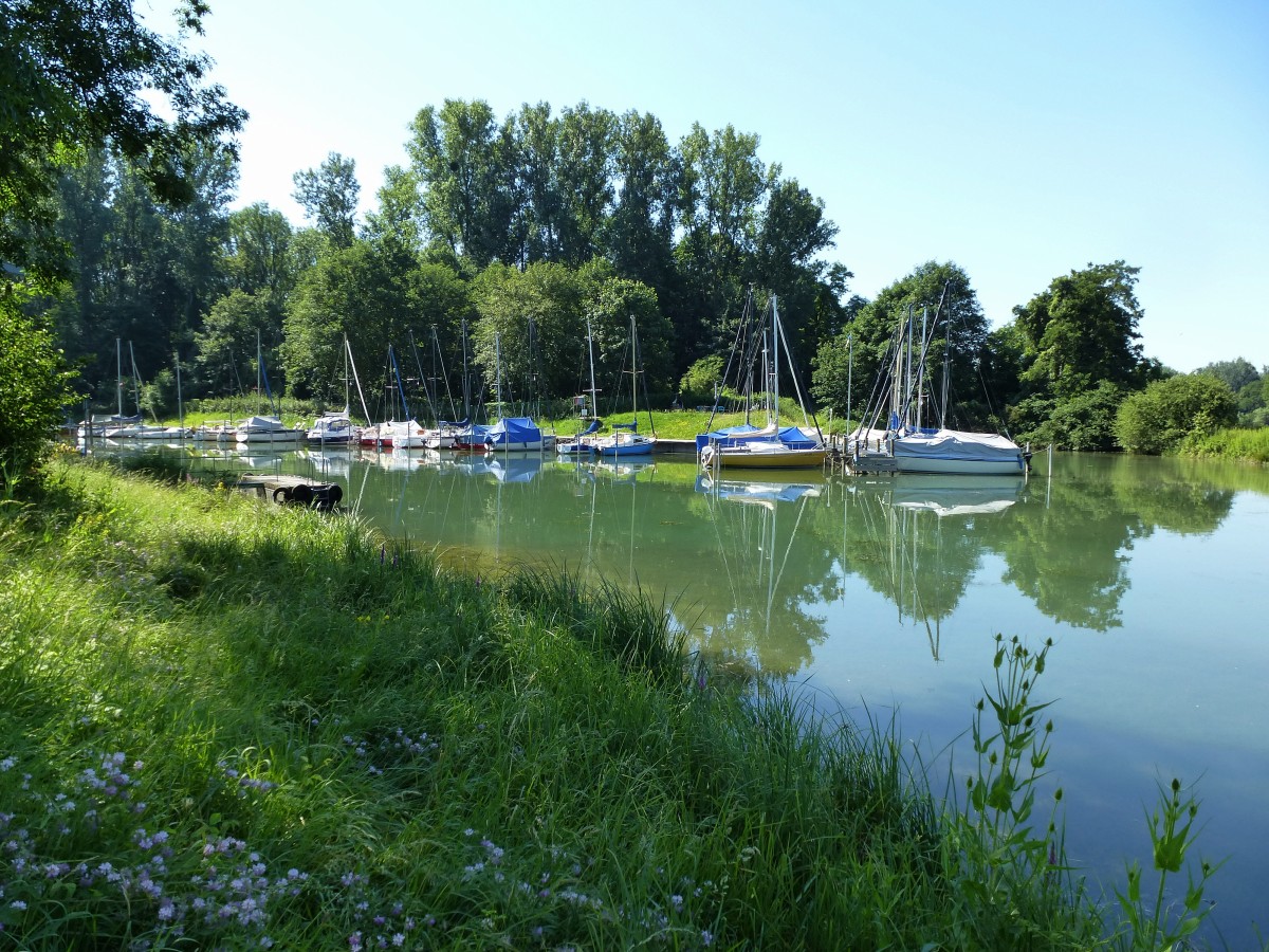 Segelhafen Grezhausen am Altrhein, sdlich von Breisach, Juli 2015