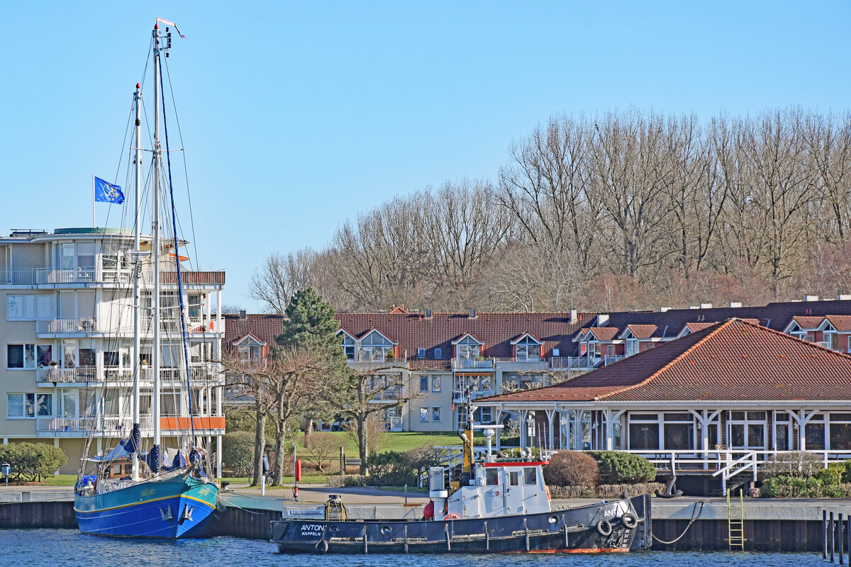 Segelschiff SAFIER und Schlepper ANTON am 19.02.2023 im Hafen von Lübeck-Travemünde (Priwall)