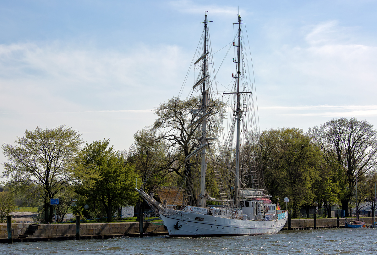 Segelschulschiff Greif kann in Greifswald Wieck wegen dem neuen Sperrwerk nicht am Stammplatz liegen. - 03.05.2015