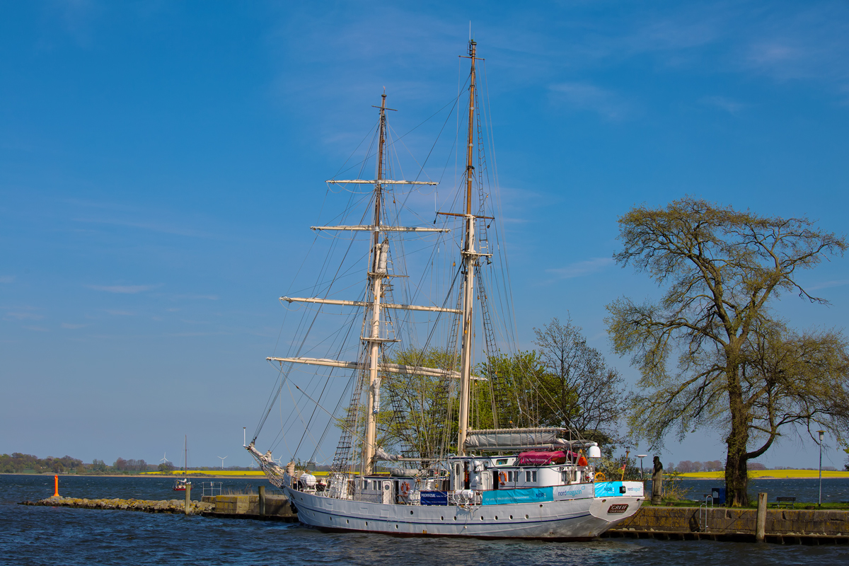 Segelschulschiff Greif kann in Greifswald Wieck wegen dem neuen Sperrwerk nicht am Stammplatz liegen. - 03.05.2015