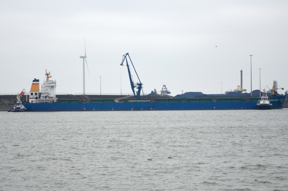 SELANDIA  Bulk Carrier   IJmuiden  / NL  14.03.2015