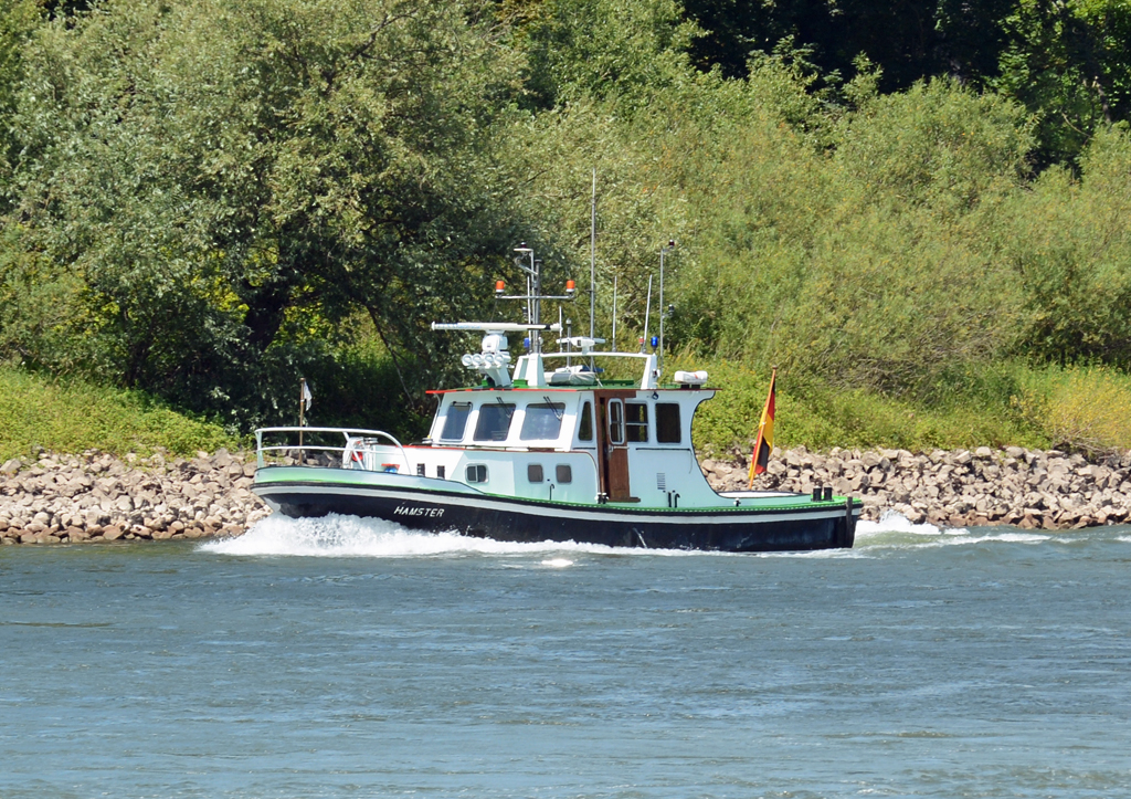 Sicherungsboot  Hamster  auf dem Rhein bei Bad Honnef - 01.07.2014