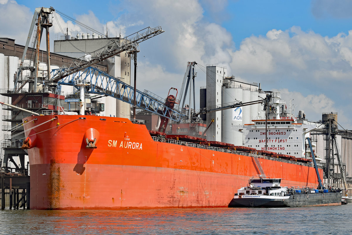 SM AURORA (IMO: 9604653) am 26.05.2020 im Hafen von Hamburg