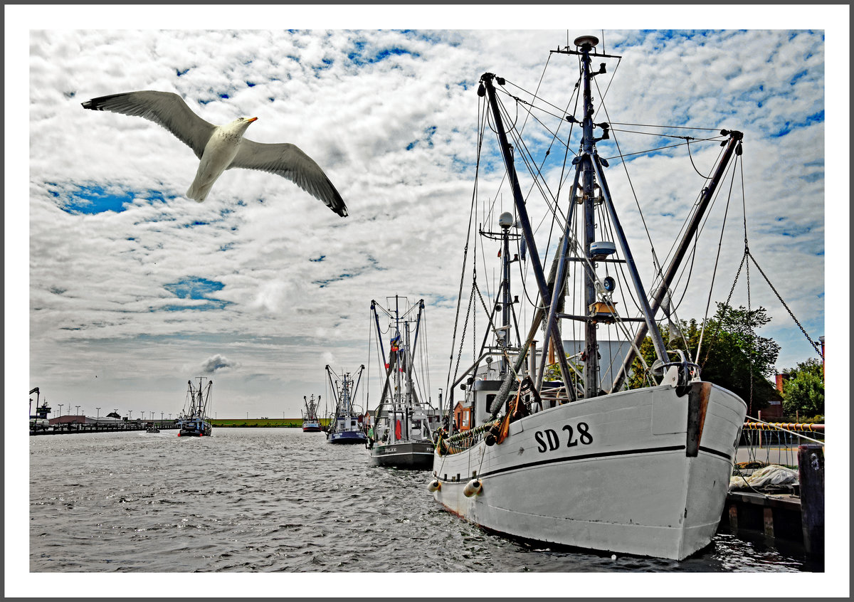 STELLA POLARIS (Fischereikennzeichen: SD 28) im Hafen von Büsum. Aufnahme vom 20.07.2015