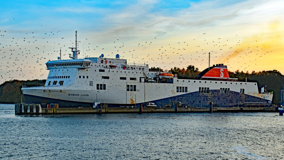 STENA LIVIA (Stena Line, IMO 9420423) im Licht der untergehenden Sonne. Lübeck-Travemünde, 29.10.2021